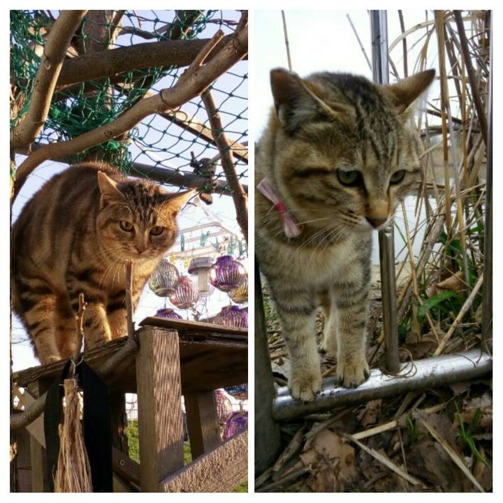 Cb897f60 8d8a 45d0 be86 aa6cfb71bb5d