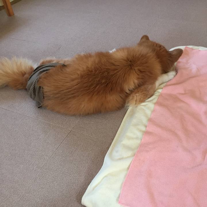 Cb89c488 0d50 4da1 a702 f53b67d44b3c