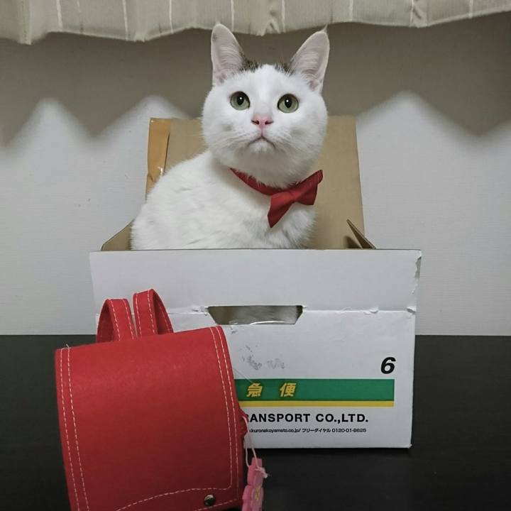 Cb8a2a54 22f5 40ff a0ab f2caf4c57b12