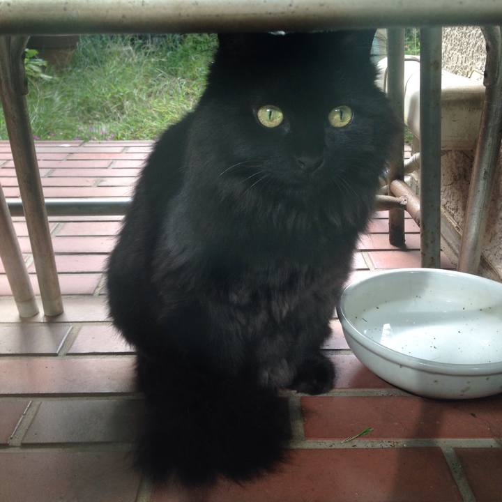 Cb8a2c6e 25d6 4b3e 9644 ce7c28407e03