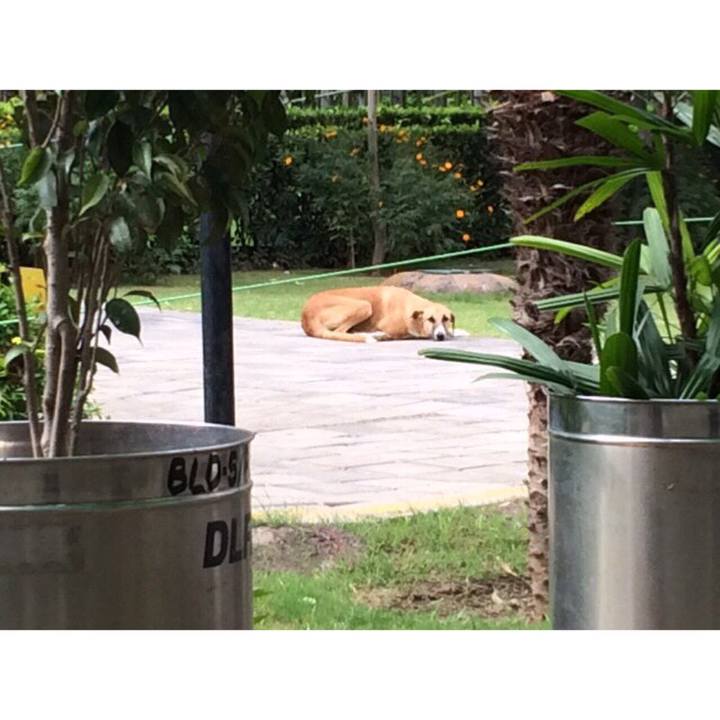 Cb8c25a9 a1f3 4b5e 962c 88cf22b65ea5