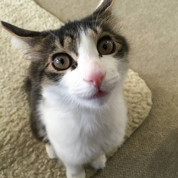 Cb8c3f9c f493 4f2a 8825 8cff124b81c8