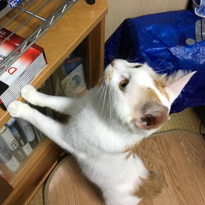 Cb8c7715 ead7 4cbe 8e4a b4949daaba94