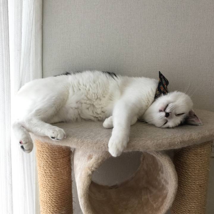 Cb8d590d 399b 4f5a 9368 b4eeaaba4b34