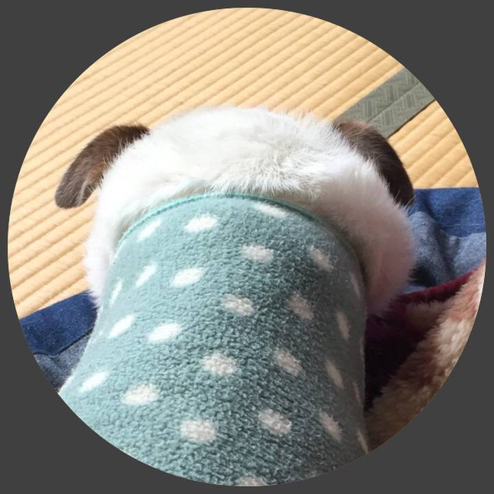 Cb8da708 2dfb 4975 ad82 b76f5d8efabe