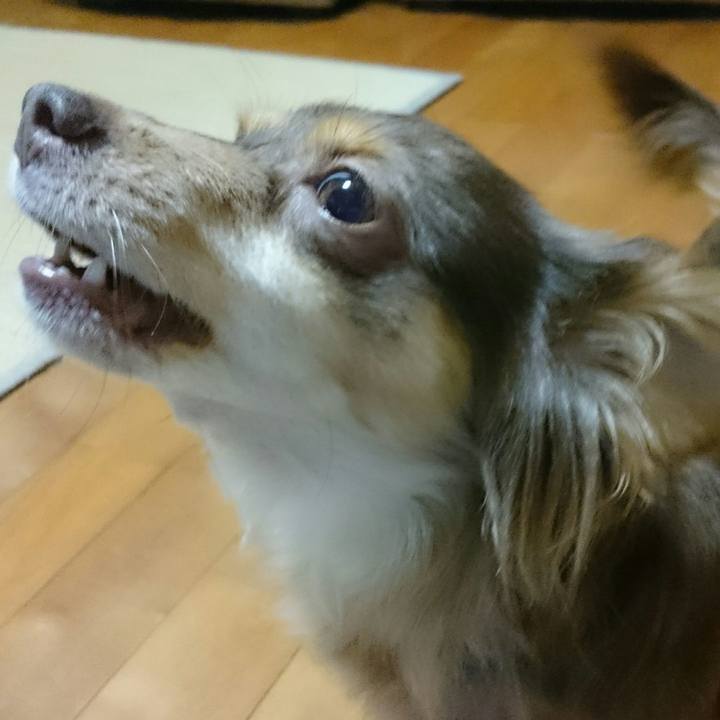 Cb8db27a 70b9 40e4 a70d 6d792a8dd3f5