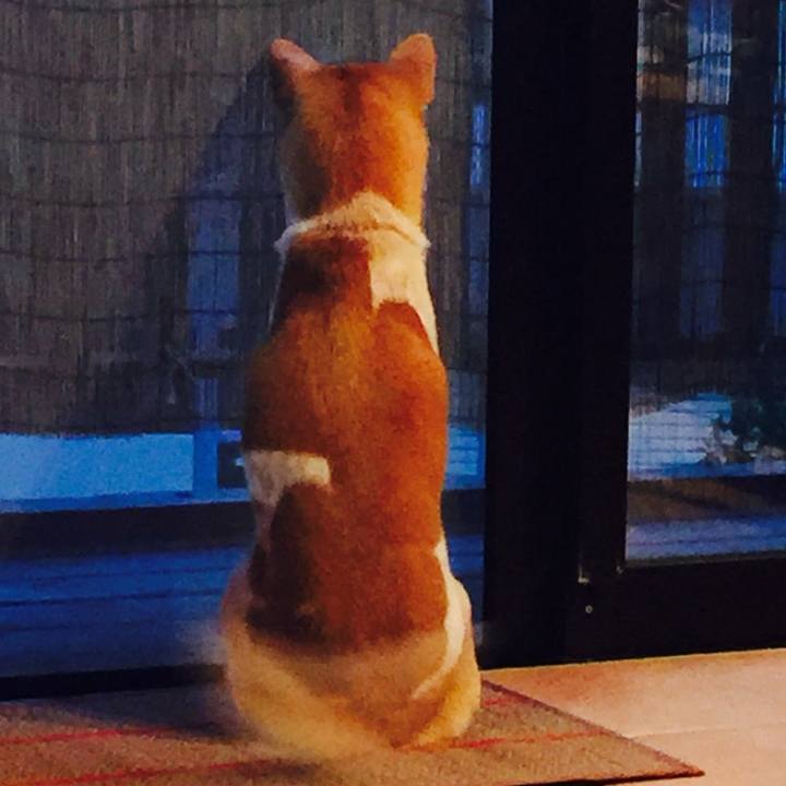 Cb8e5521 b578 4df7 81c6 822ab248683a