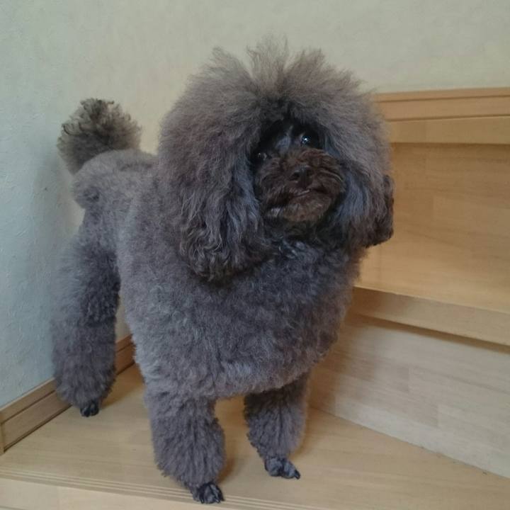 Cb8e91ad 15f2 4a2e a30c 9678441d851a