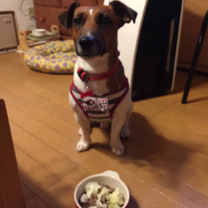 Cb8f0661 234c 45f1 a5bb bce5799323a9