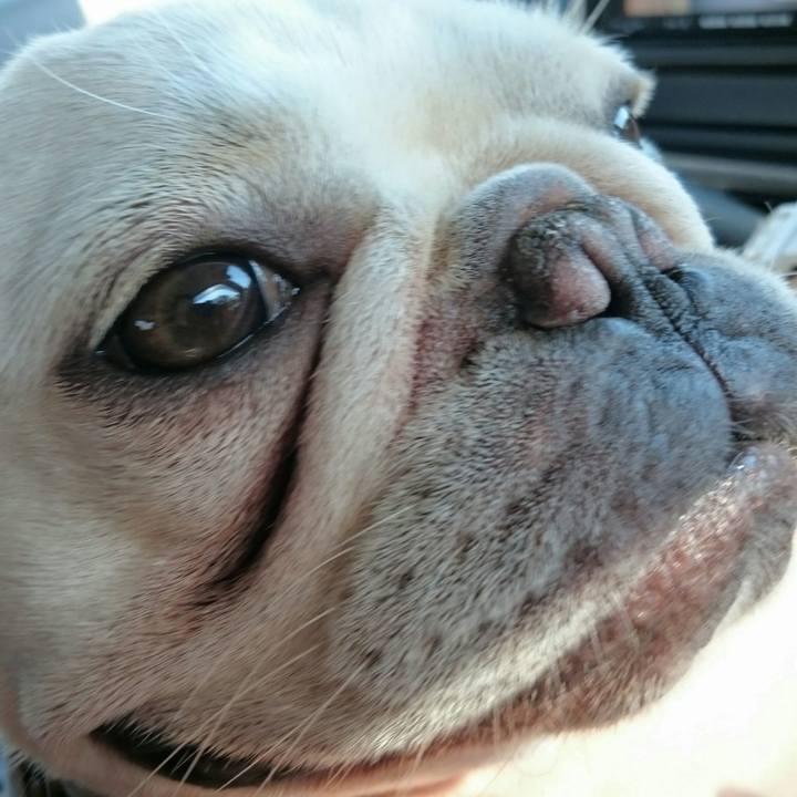 Cb8f0f9a ea22 4249 8d50 9e70613109a8