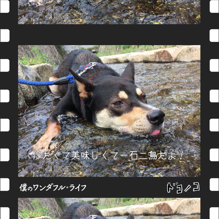 Cb8f46b1 7552 421d b27f bd8ba0235202