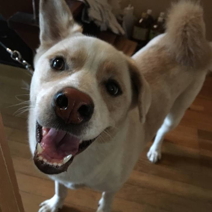 Cb8f8949 4bdc 4dae 9b06 a87da350cea8