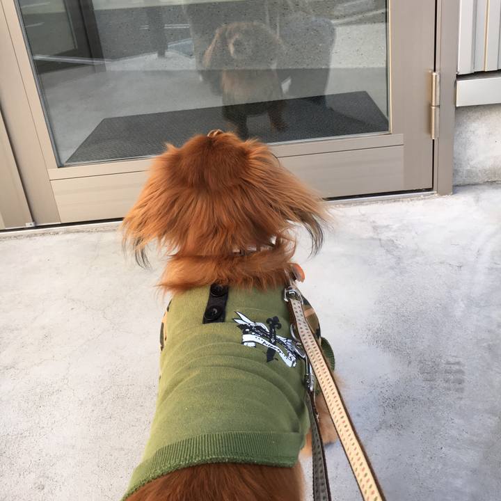 Cb8fa0e9 231b 472b a7e2 ce5d1df348be