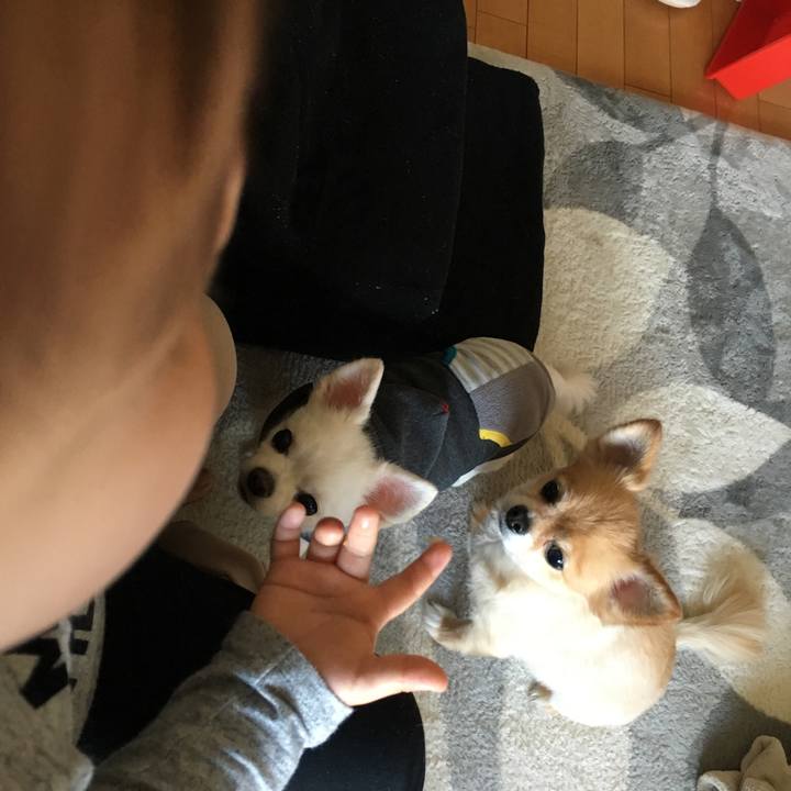 Cb8fa167 722c 453f 9db3 157056c9a22d