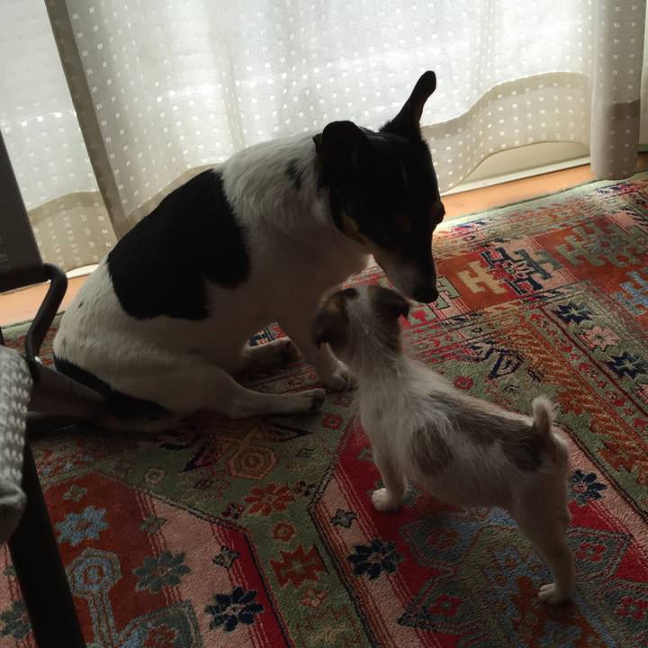 Cb8fb4f5 9851 486c 878c a755e4bd67a1