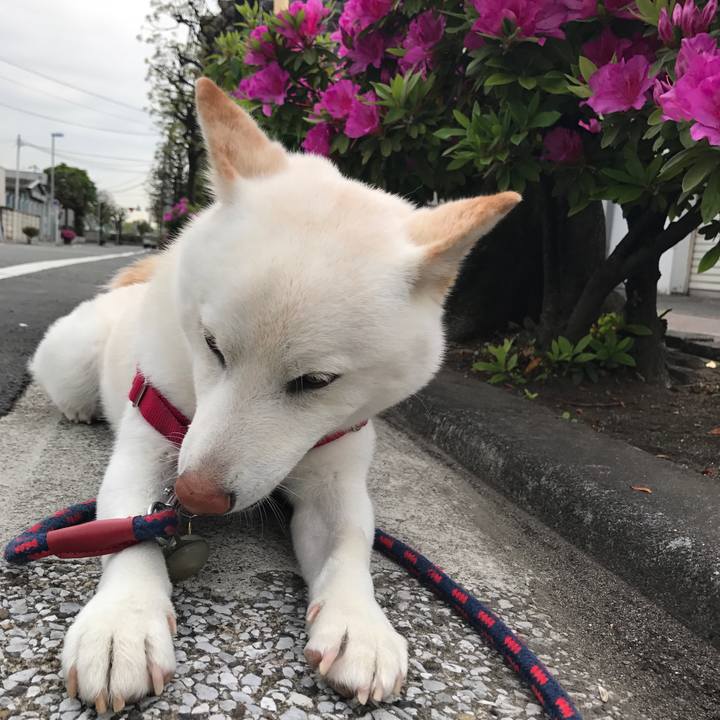 Cb905192 6afc 4e0d 872f a49929884fe4