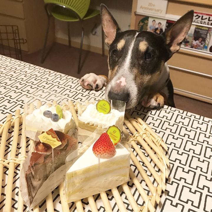 Cb907a58 6afd 48d5 82e7 08f4b549443d