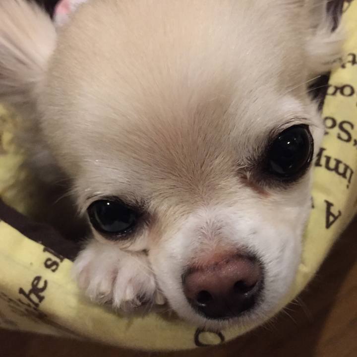 Cb908055 646b 4041 b489 c667f3a38f88