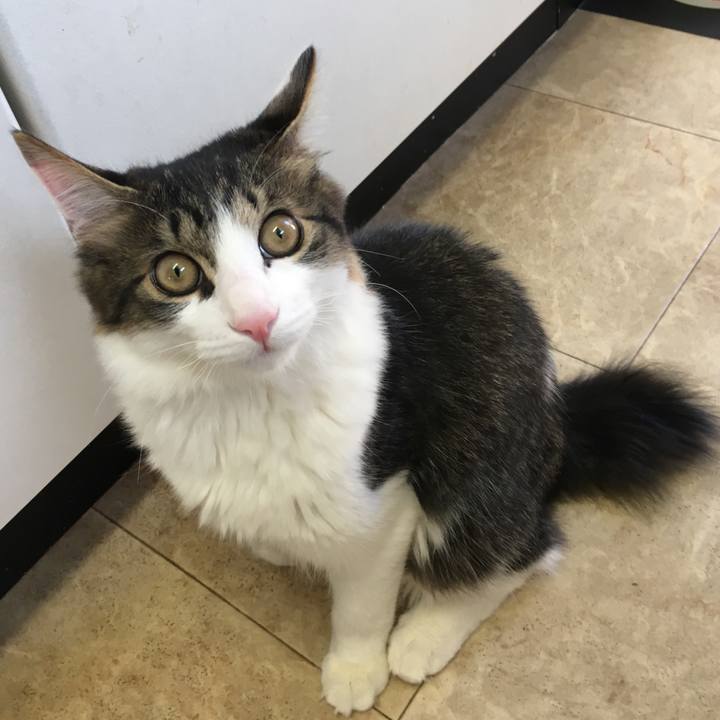 Cb90b391 73de 468a a6b1 b8ee7ee62411