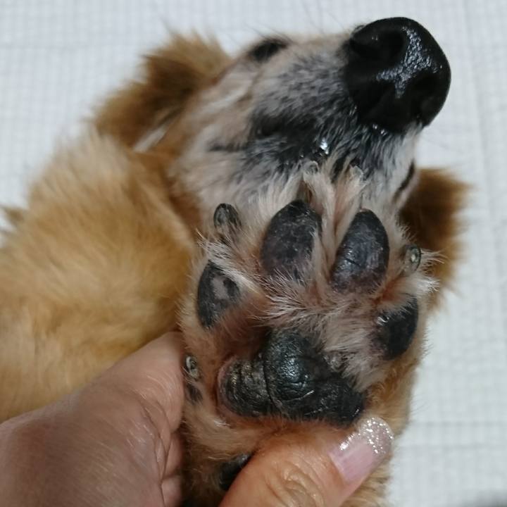 Cb90ebdd dcdd 4728 94ed f7e34bdf222b