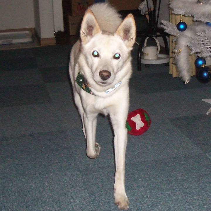 Cb91391a bf62 4ab9 be85 e04b331ccd5e