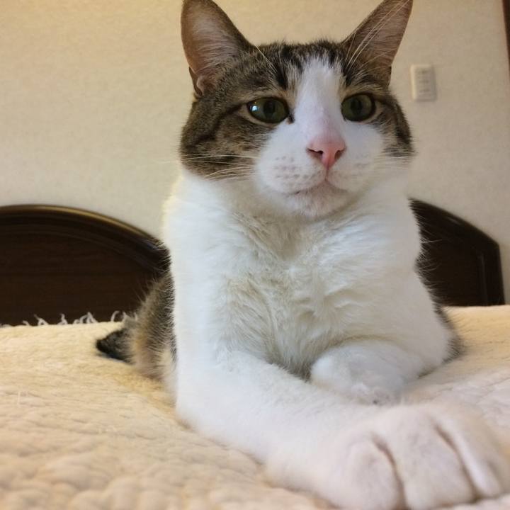 Cb915175 37e3 4923 b902 111c6ef419a9