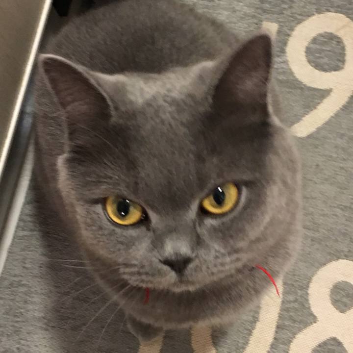 Cb916255 8341 45d6 8043 63ba33c1e1e6