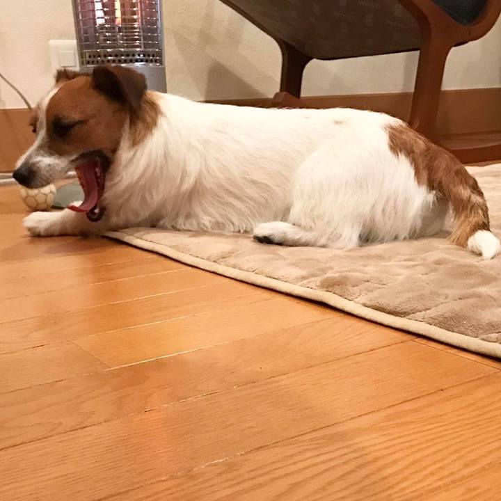 Cb9194f1 63b3 4ac1 8346 676425719ea5