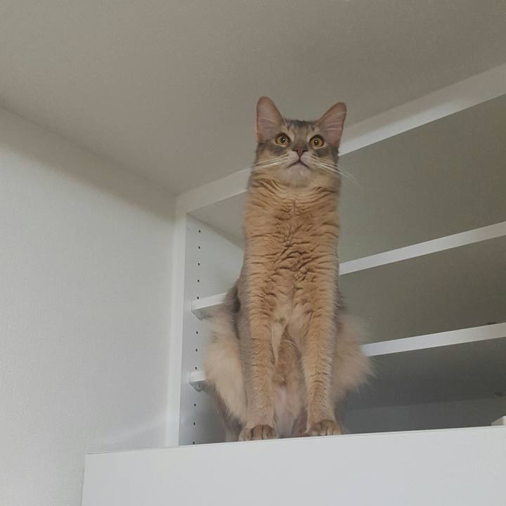 Cb9364e3 f052 440d 9e9f 398f254a1fa0