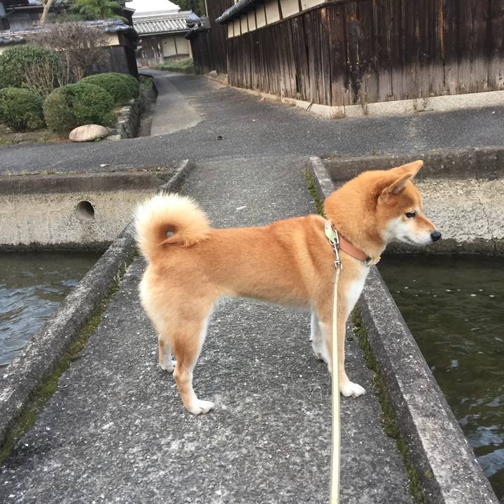 Cb9385fe 0a0f 4d33 9a75 c09481580820