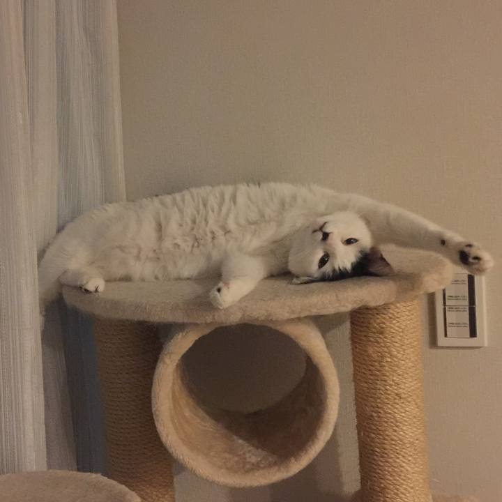 Cb945c6b cc8c 46fb 9c09 89492dcdbcf6