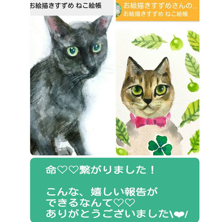 Cb9484b9 42d9 40ed b3c2 9e6eded04004