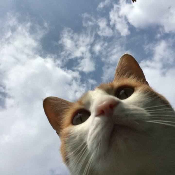 Cb94d45a 85d7 497a ad6a 766027330129