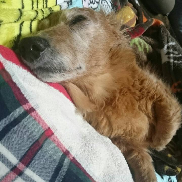 Cb955147 be5a 4b4a a095 c97061ccb691