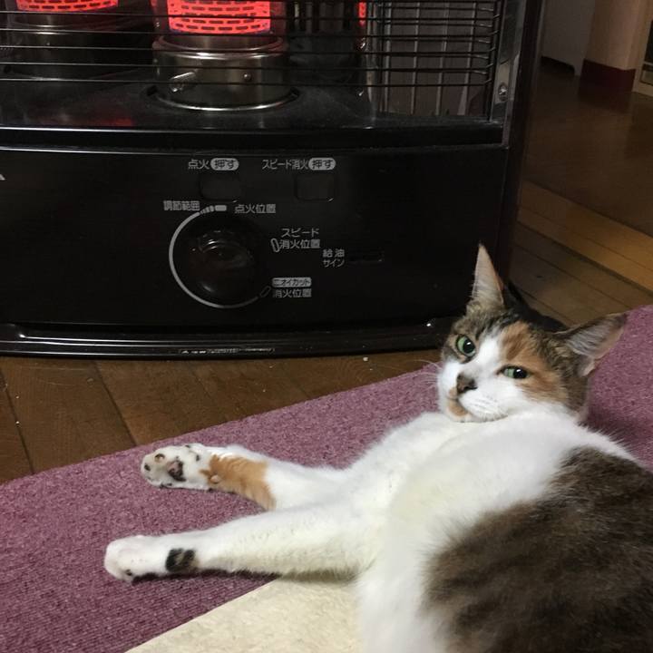 Cb955fe3 9ece 4132 8faa 1f32927da02e