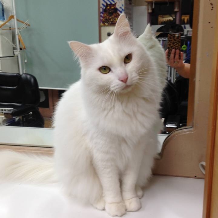 Cb95f8ef 4af5 460c 924c dadd57e49fa6