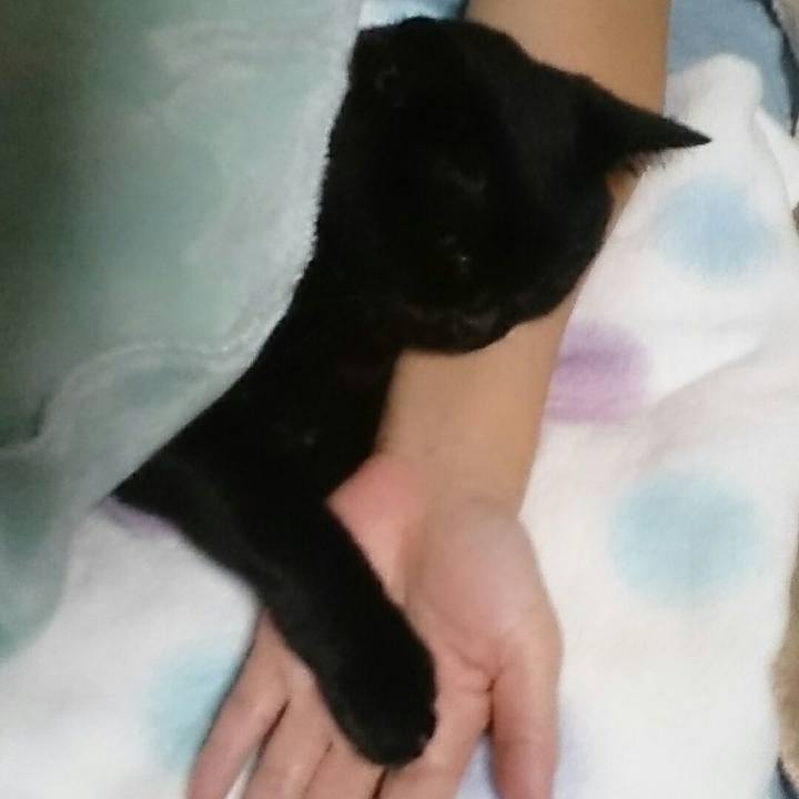 Cb96838f 67f0 4efa bfd7 03cbb43b39c2