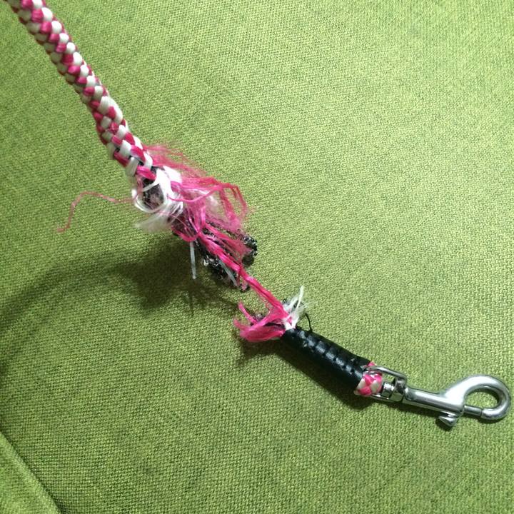 Cb96d001 2f8c 4d17 b23c a525a60725a4