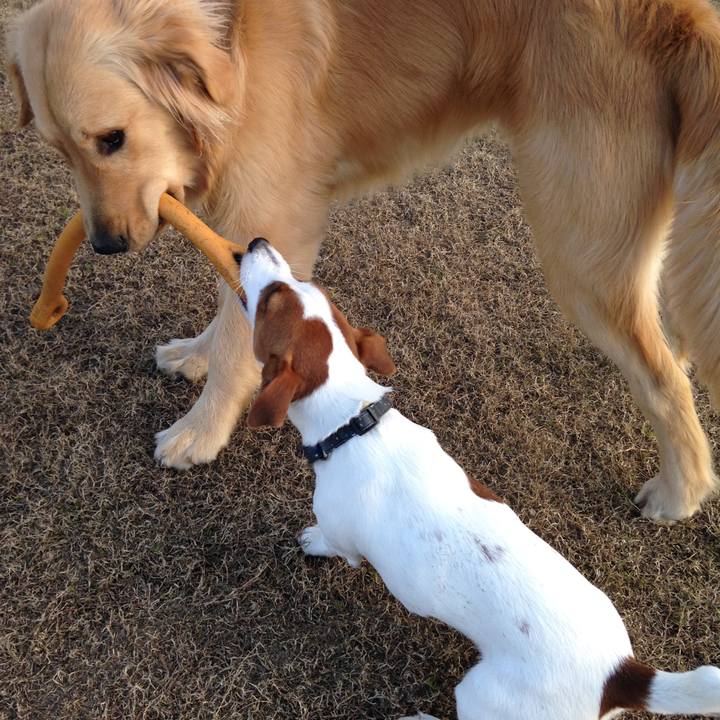 Cb9704e3 f107 4980 a3a7 212968005fb3