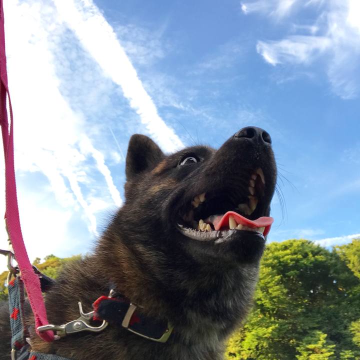 Cb971726 f8fa 43a0 9dc8 c742dce86838