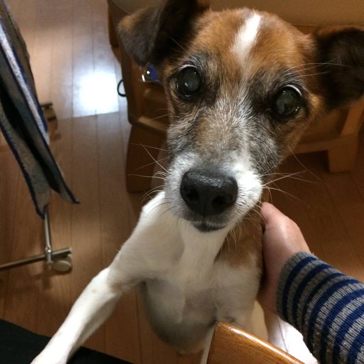 Cb9757ca f3ec 463b 9894 beabbe9b625f