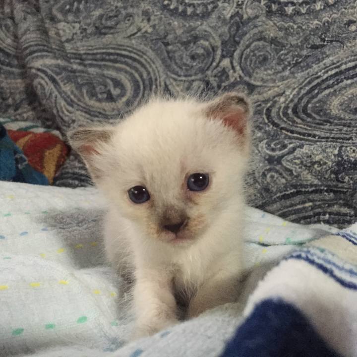 Cb975bc2 75a2 44e7 9ad1 82c6910670eb