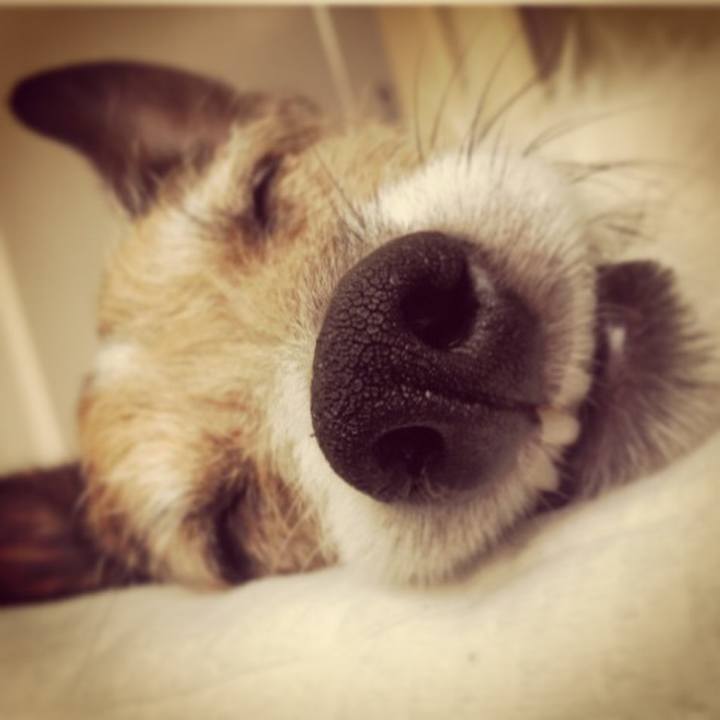 Cb97ab8b 4a0e 480a a000 fac4ff4fdd5c