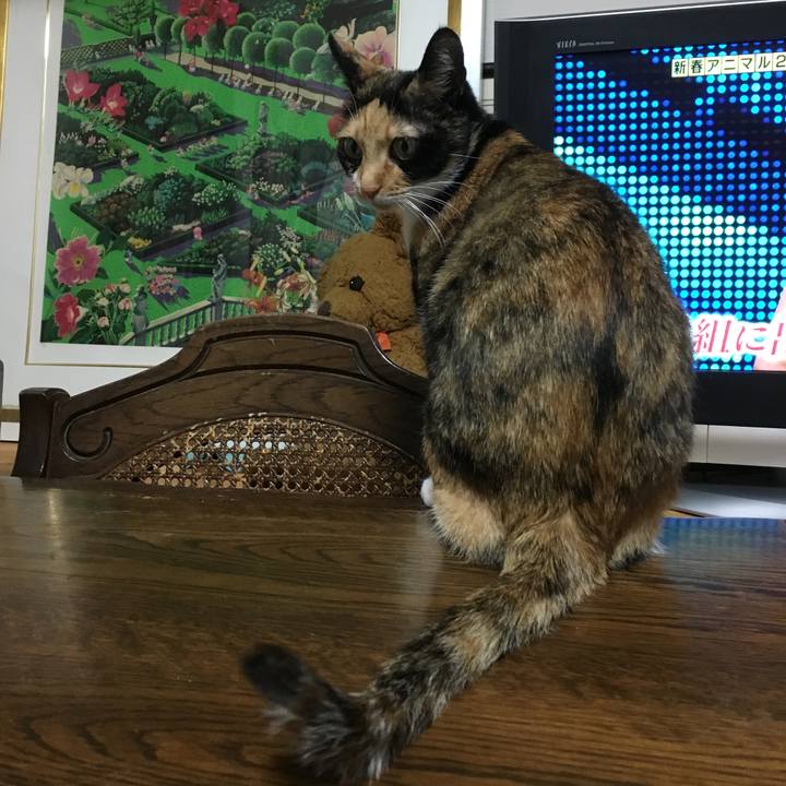 Cb980253 a2aa 41fd a521 c72b19e0f259