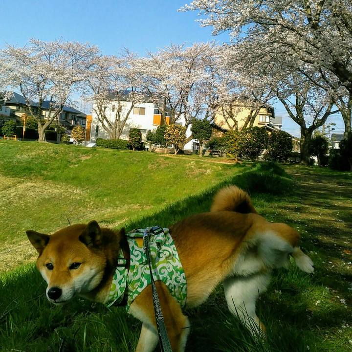 Cb98abde f5ca 475f 8006 f50be7ebcb70