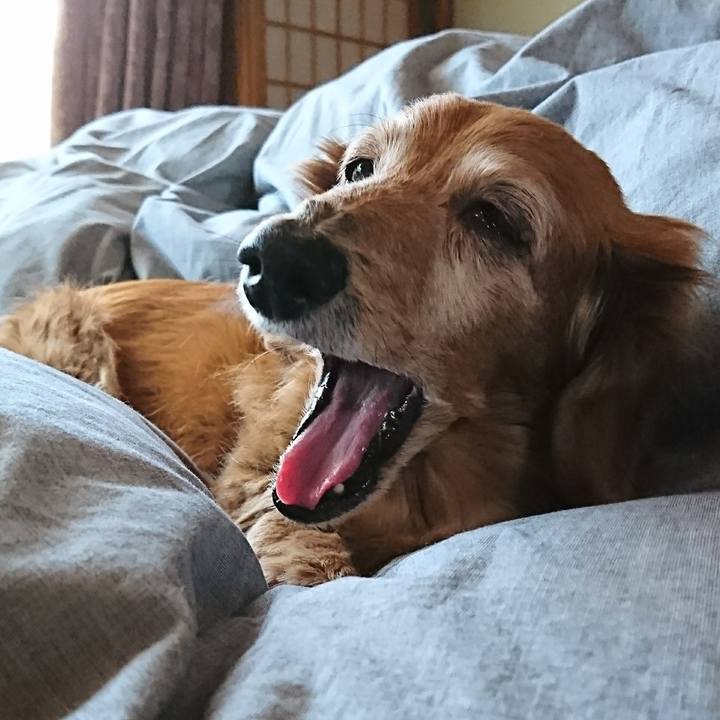 Cb98c411 ffee 4308 9191 9322467446af