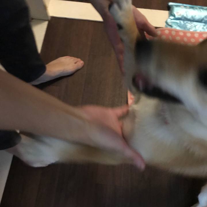 Cb98ec99 5838 4631 9684 c92daa2e4b95