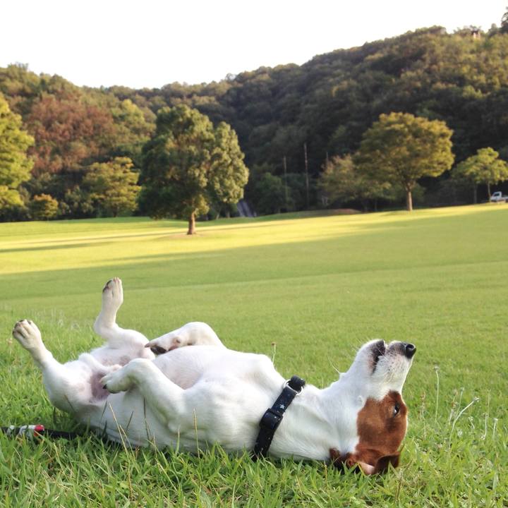 Cb9901db 4e66 4ac2 99c2 ca986f03bcb6