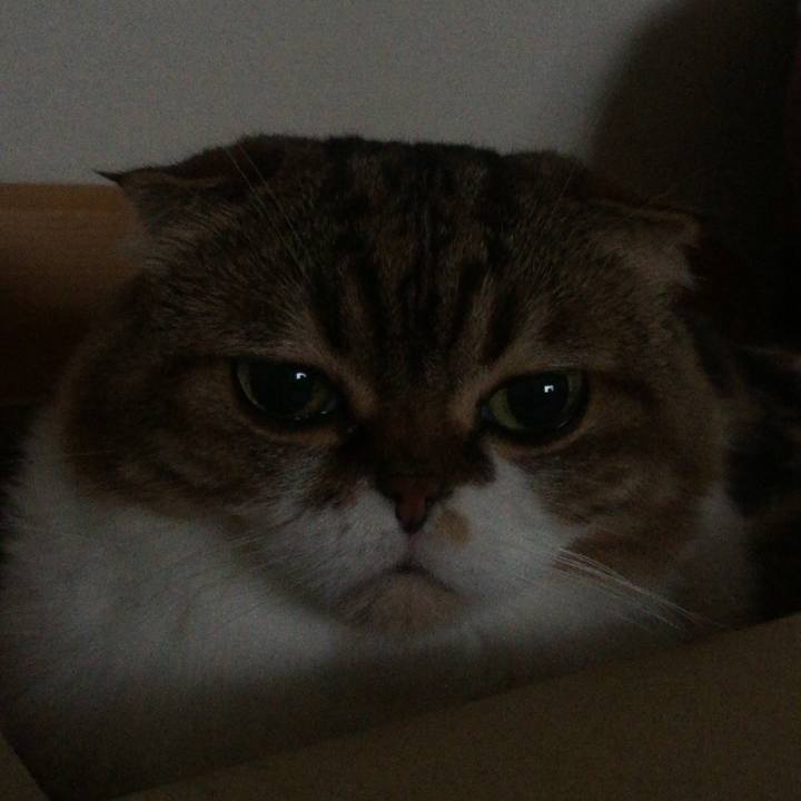 Cb991ec1 2bc5 4aa0 b72f 06bcc003c859