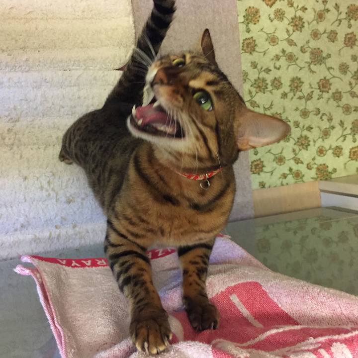 Cb994e09 09d9 4f34 bcf8 53b800711d66